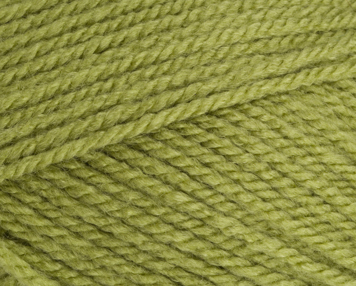 Stylecraft Special Aran - Meadow 100g
