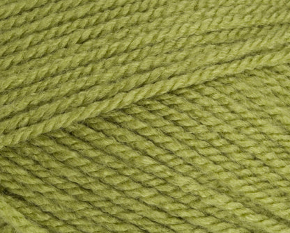 Stylecraft Special Aran - Meadow 100g