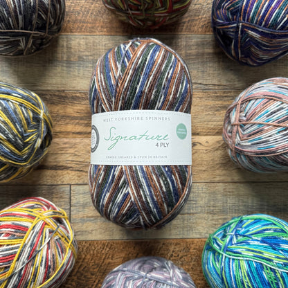 West Yorkshire Spinners Signature 4 Ply - Mallard 100g