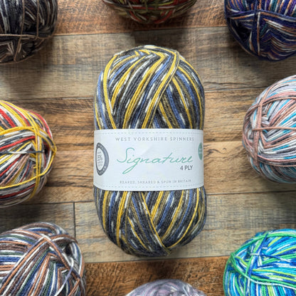 West Yorkshire Spinners Signature 4 Ply - Blue Tit 100g